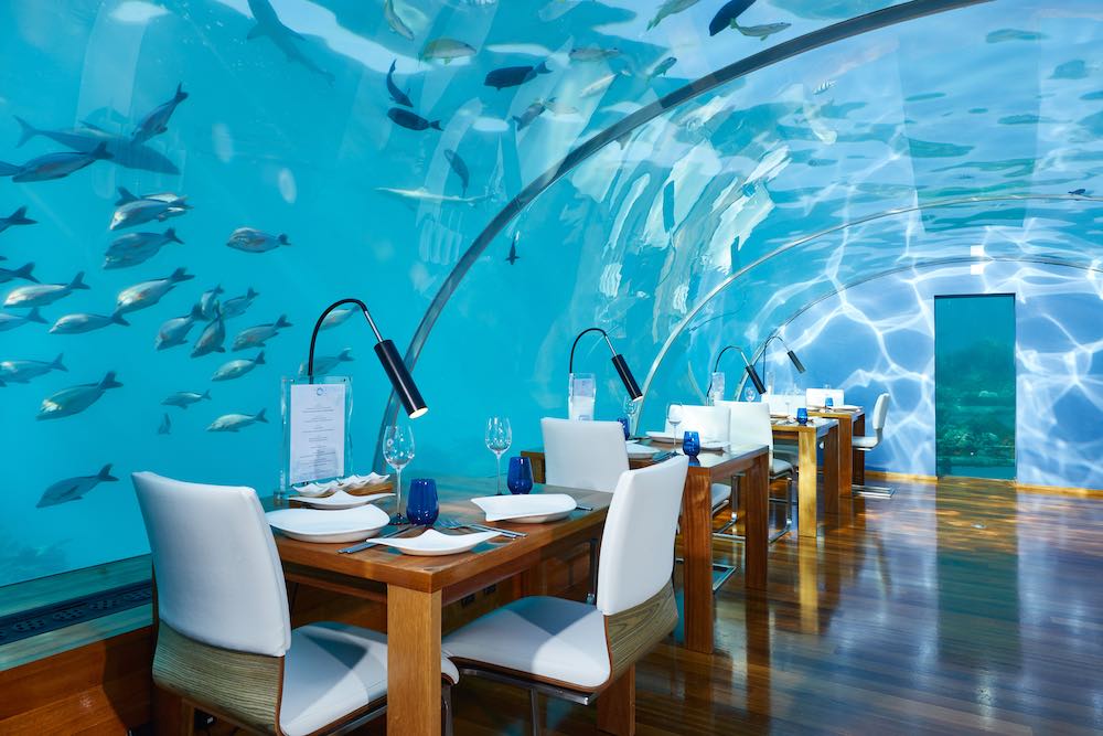Ithaa Undersea Restaurant at Conrad Maldives Rangali Island thumbnail 4